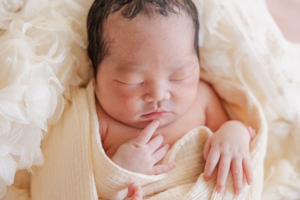 産まれたての記録